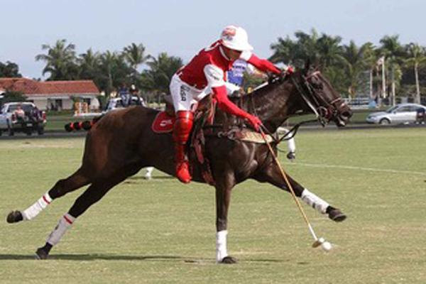 They Said I’d Never Play Polo Again”—But Sugar Is Back