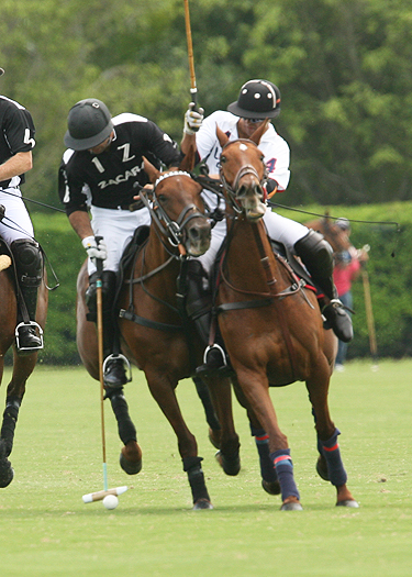 photosalexpacheco polo magazine uspapiagetgoldcupsemifinalszacaravs lechu 5