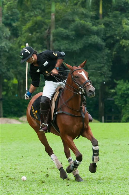 31 Diplomats Cup Sanolah Khan