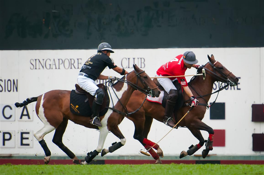 39 Diplomats Cup Ronnie Lim chasing Jonathan Gabler