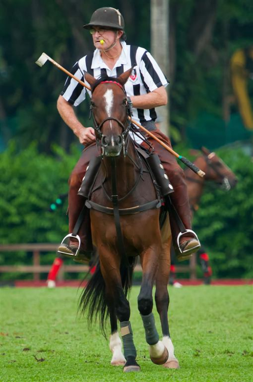 60 Diplomats Cup Podger El-Effendi