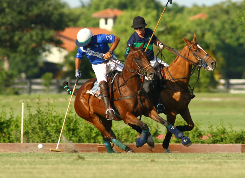 polo game yp com audi polo team pacheco ph 4