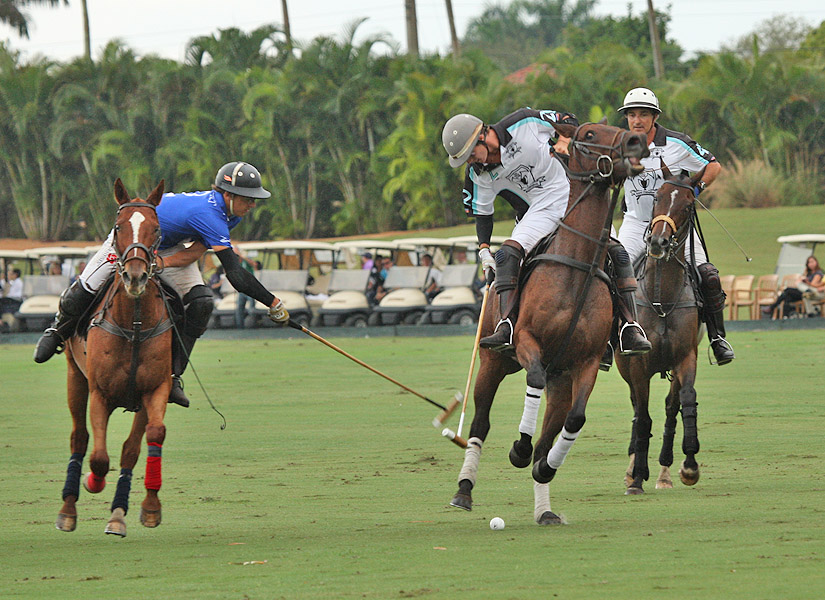 palmrestuarantinvitationalpolomagazinepolotournamentpachecopolophotos 8