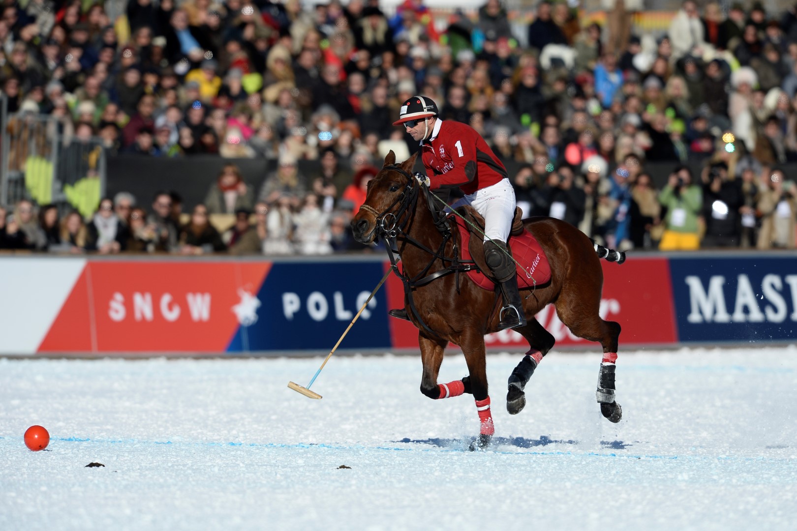 29 01 17-0711 32438632502 o