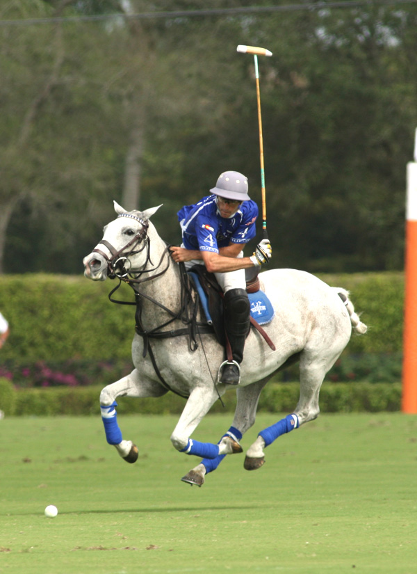 Valiente Yslvisaker Polo