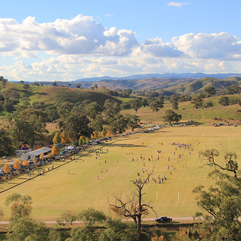 millamolong2